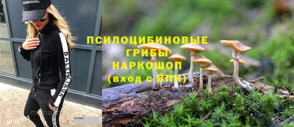 ГАЛЛЮЦИНОГЕННЫЕ ГРИБЫ Заволжье