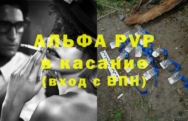 ГАЛЛЮЦИНОГЕННЫЕ ГРИБЫ Заволжье