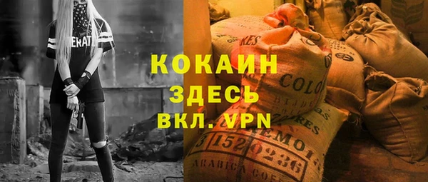 мдпв Ельня