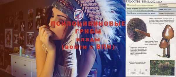 соль ск Сосновоборск